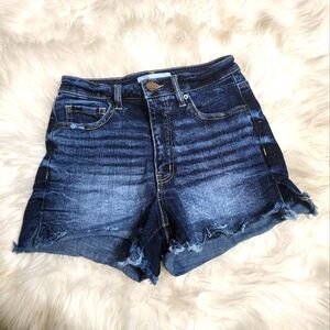 BKE Denim Shorts Carter Wash Distressed Stretch Denim Size 24